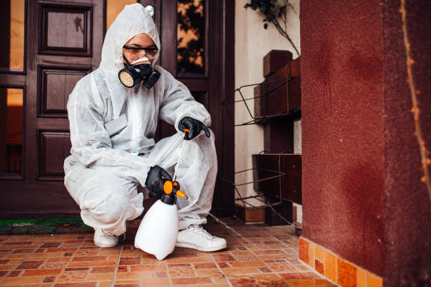 Attic and Crawl Space Rodent Treatment in Altamont